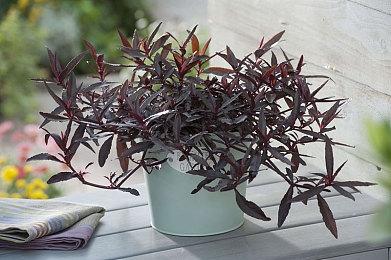 《绝地潜兵2》官方梗图暗示即将推出新的战略装备