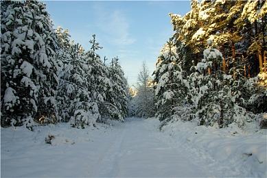 《荒野大镖客》系列销量已突破9200万部
