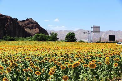 《七龙珠 电光炸裂！ZERO》公开燃爆开场动画